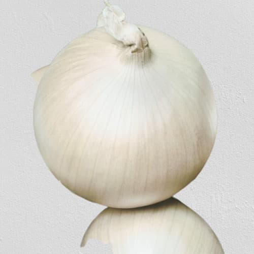 Crisp, Mild, And Bright: The All Purpose Onion2ct)