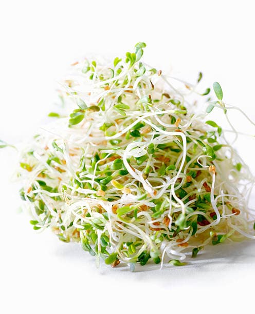 Alfalfa Sprouts 140 G