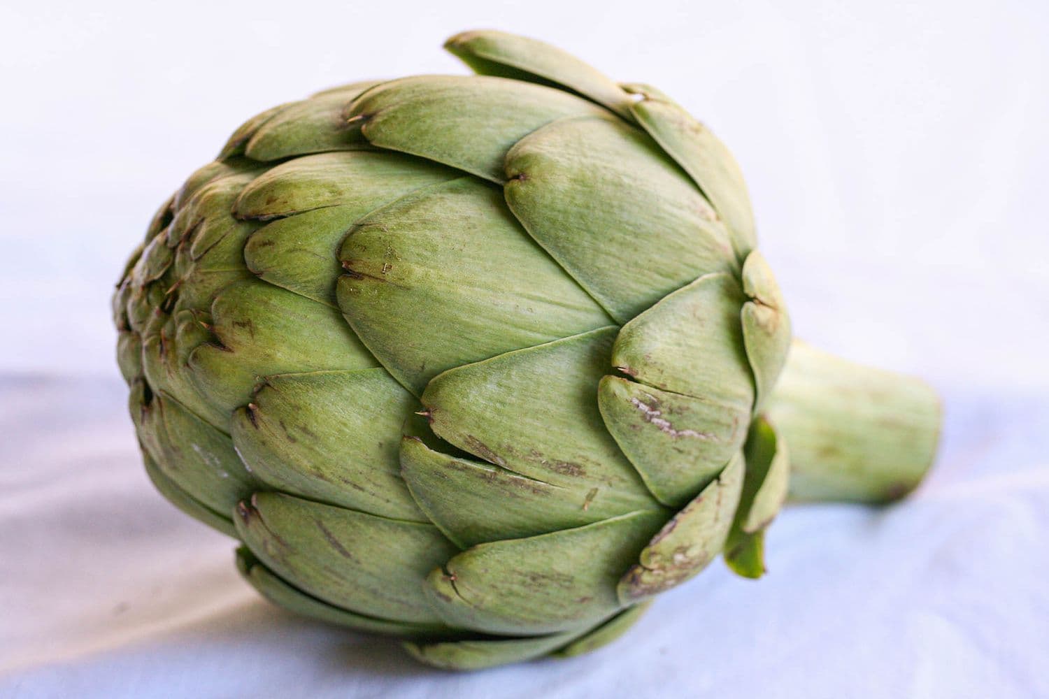 Artichoke (1ct)