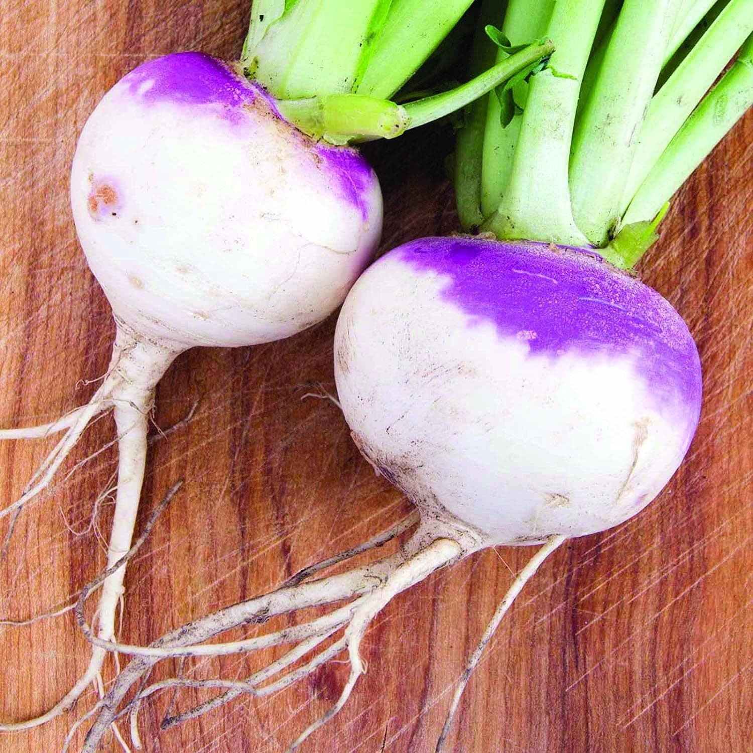 Rutabaga (1ct)