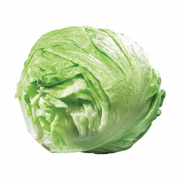 Iceberg Lettuce 1 Each