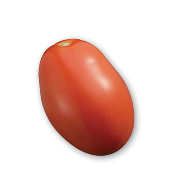 Roma Tomato About 0.12 Kg Each • $6.92 / Kg Final Cost By Weigh