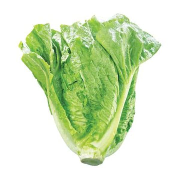 Romaine Lettuce 1 Each