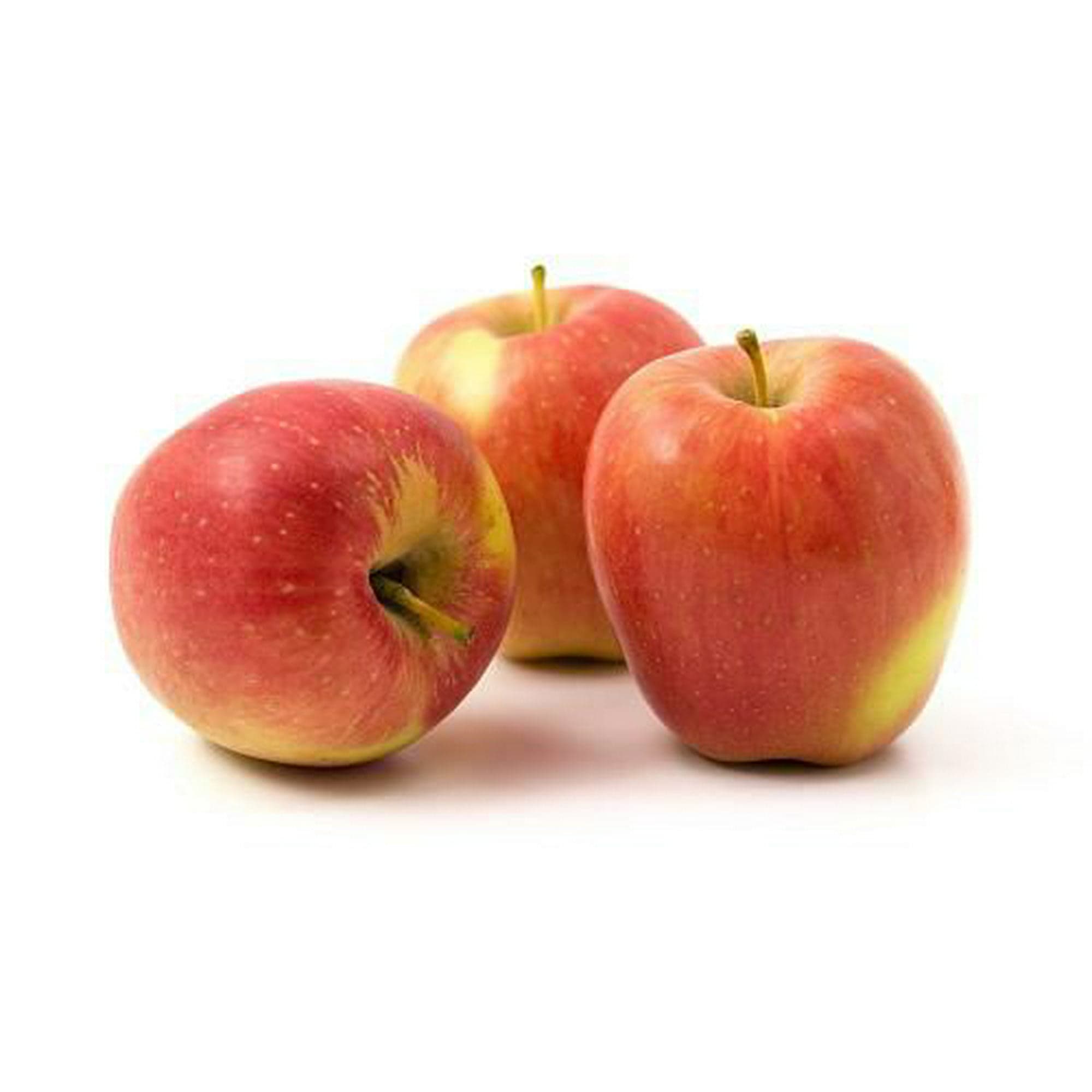 Ambrosia Apple (1ct)