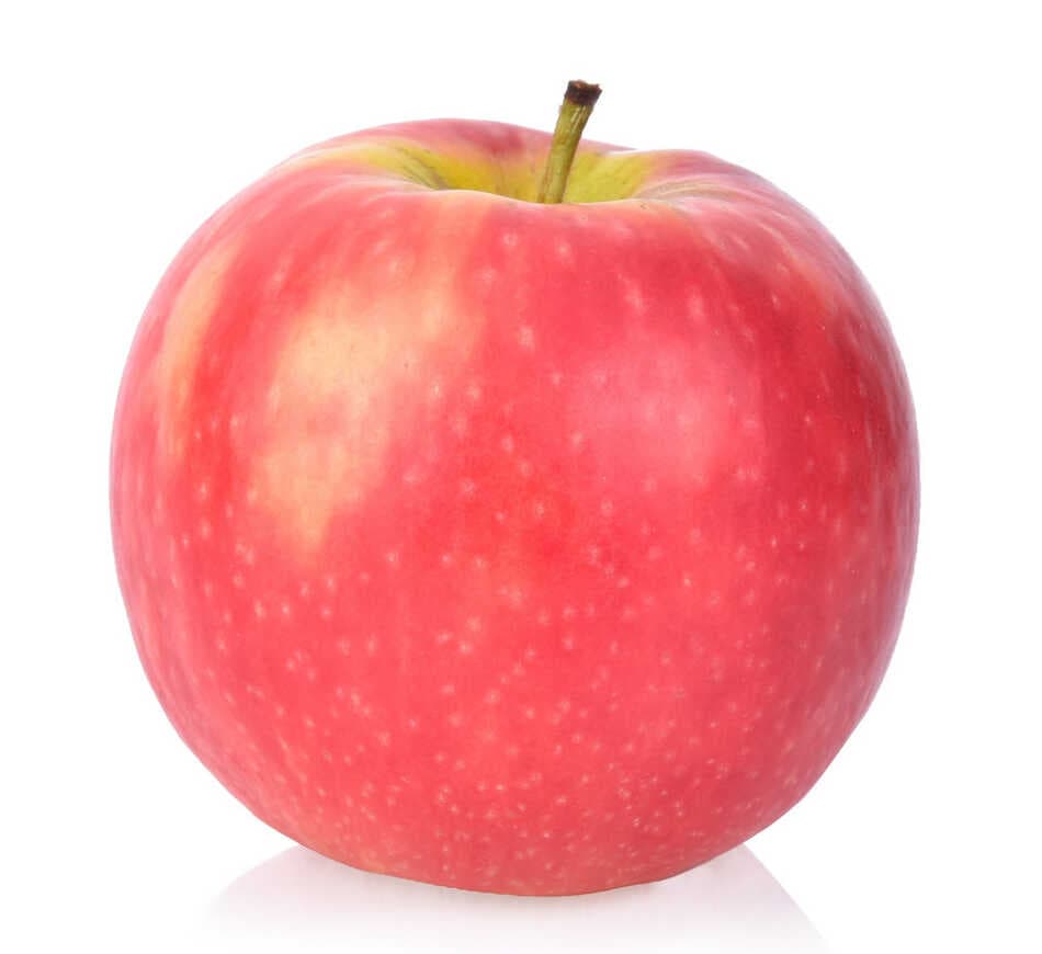 Apple Pink Lady Large (1ct)