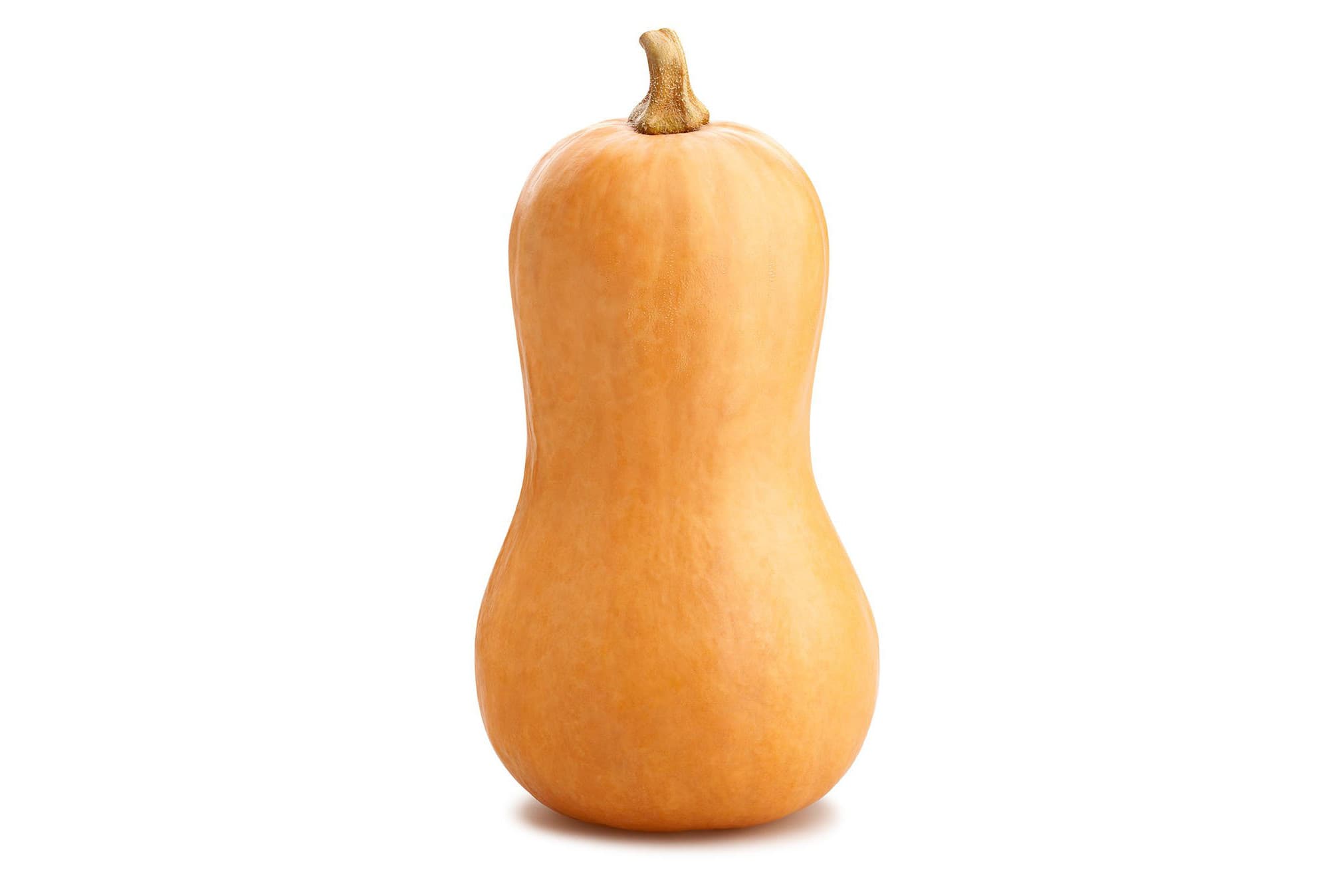 Butternut Squash (1ct)
