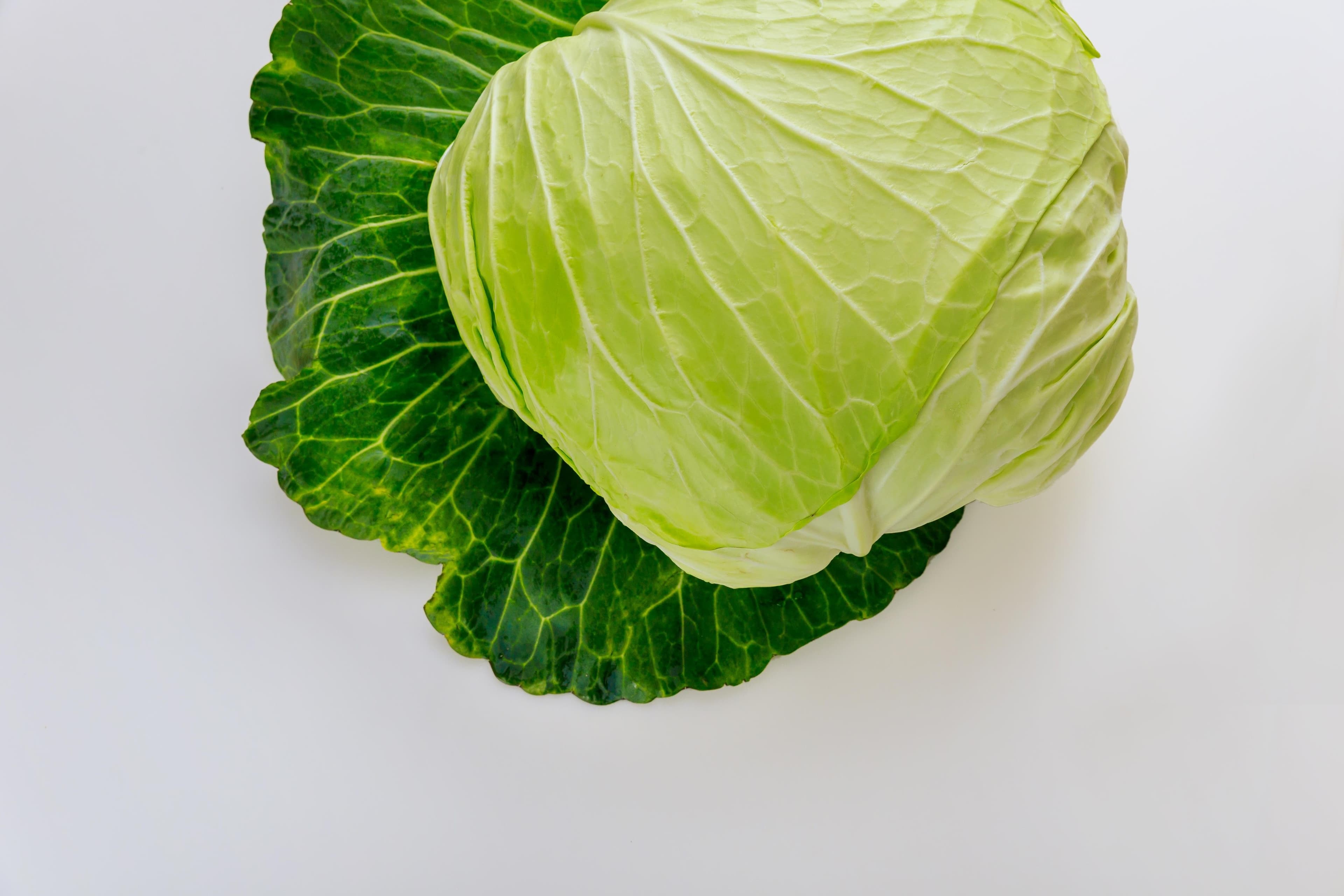 Cabbage