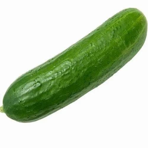 Field Cucumber  (1ct)