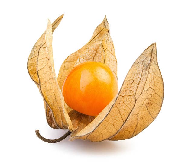 Ground Cherries