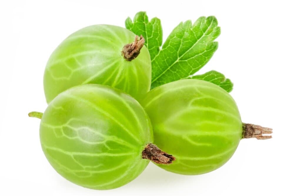 Gooseberries