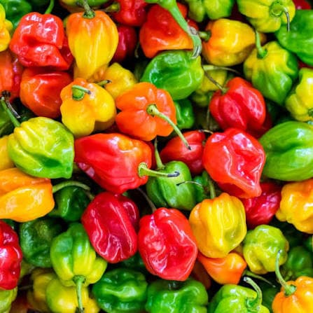 Habanero Pepper (lb)