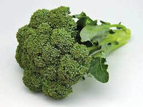 Organic Broccoli  (1ct)