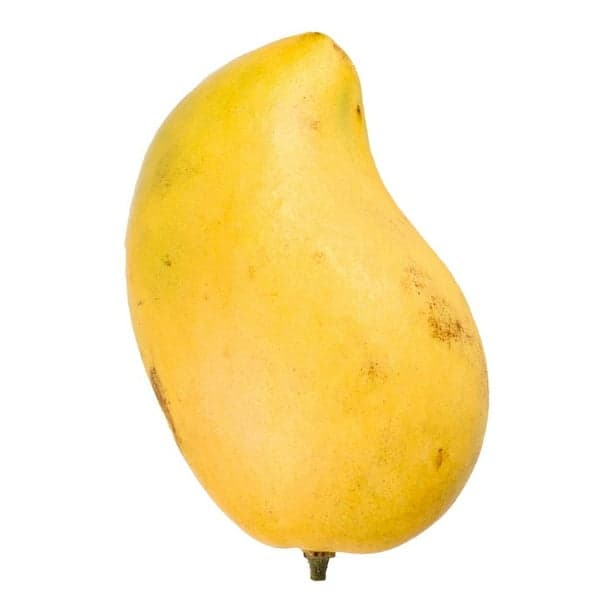 Ataulfo Mango (1ct)
