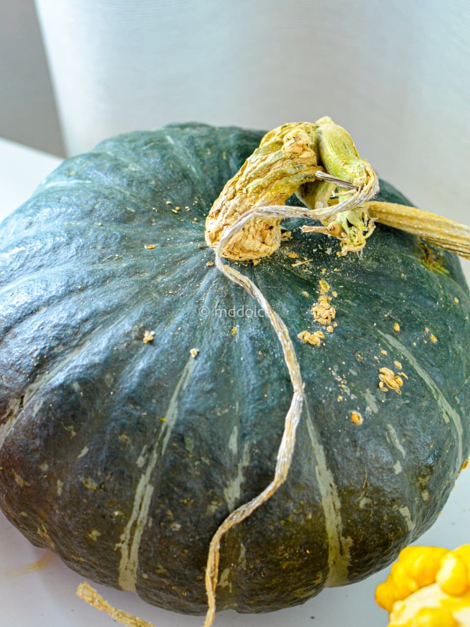 Buttercup/kabocha Squash (1ct)