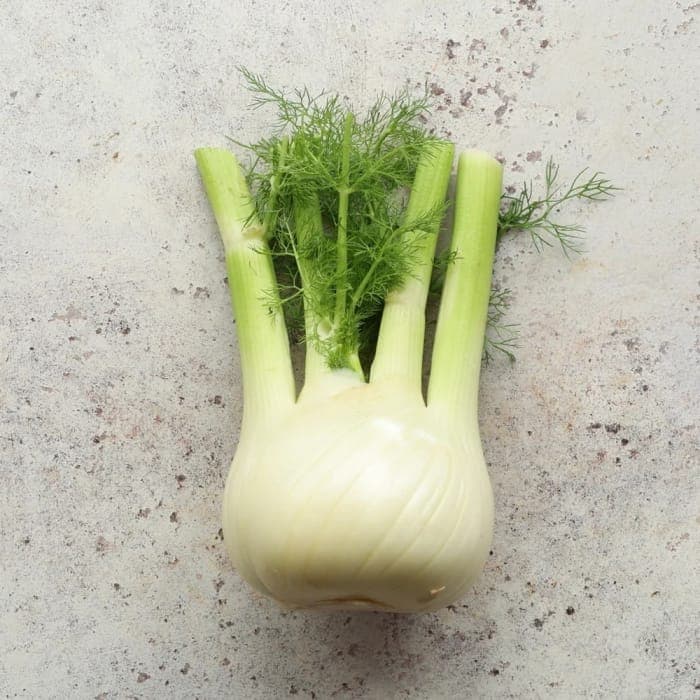 Anise Fennel (1ct)