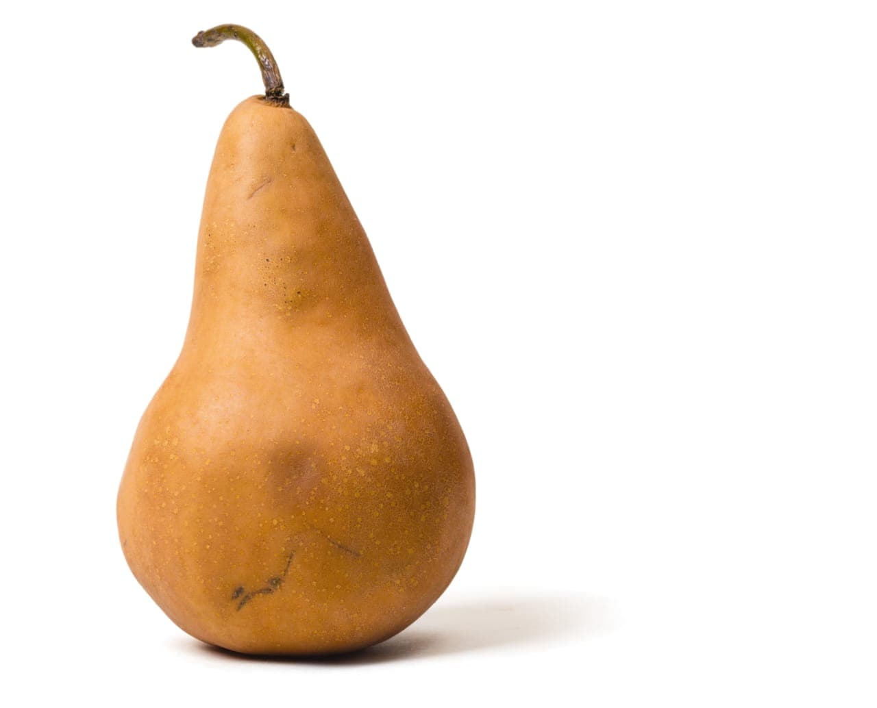 Organic Pear Bosc  (1ct)