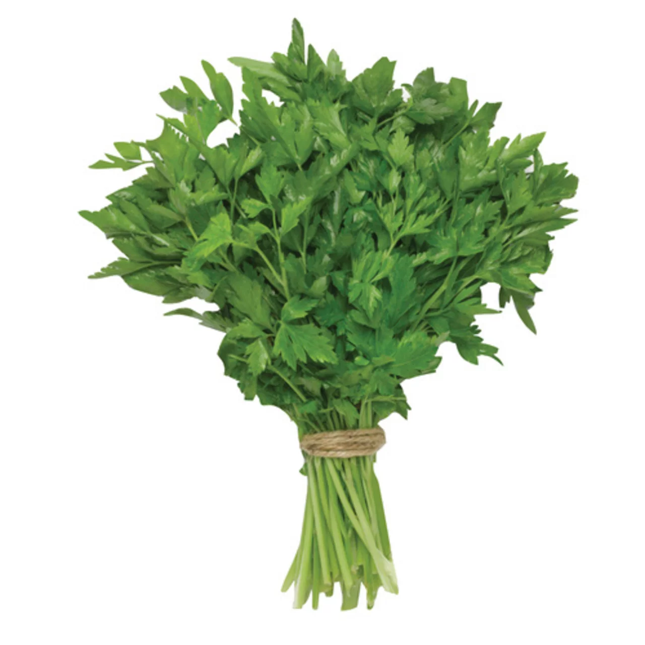 plain parsley (1ct)