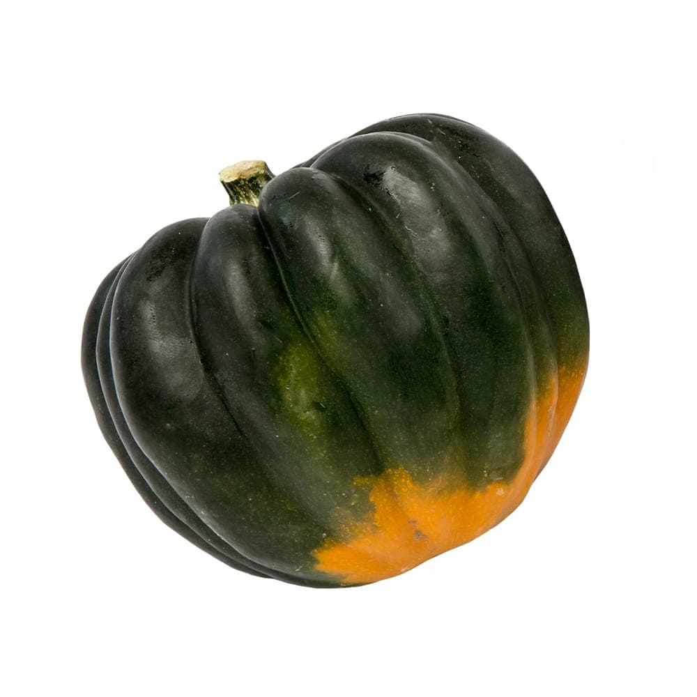 Squash Acorn/pepper (1ct)