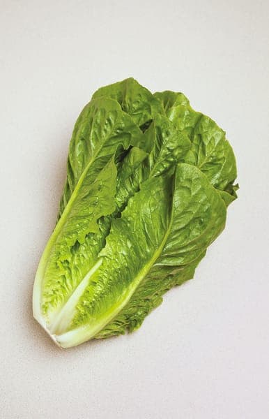Romaine Lettuce Hearts