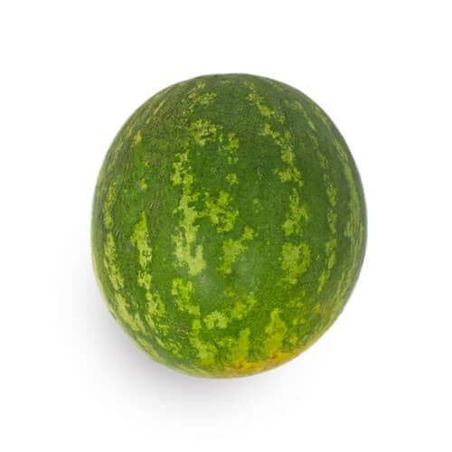 Seeded Watermelon Regular (1ct)