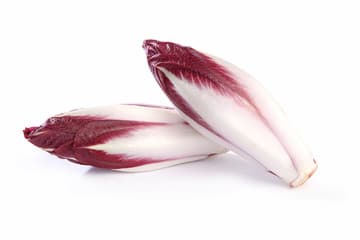 Belgium Red Endive (each)