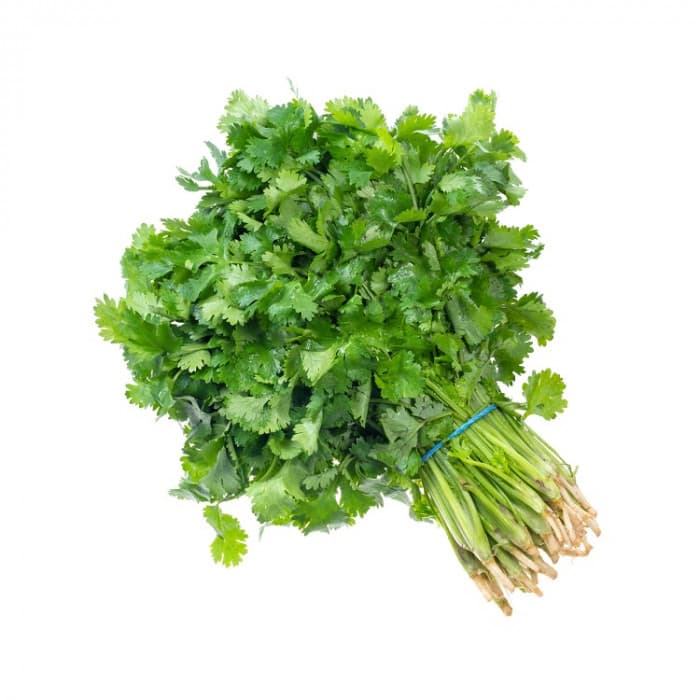Cilantro Coriander (1 Bunch)