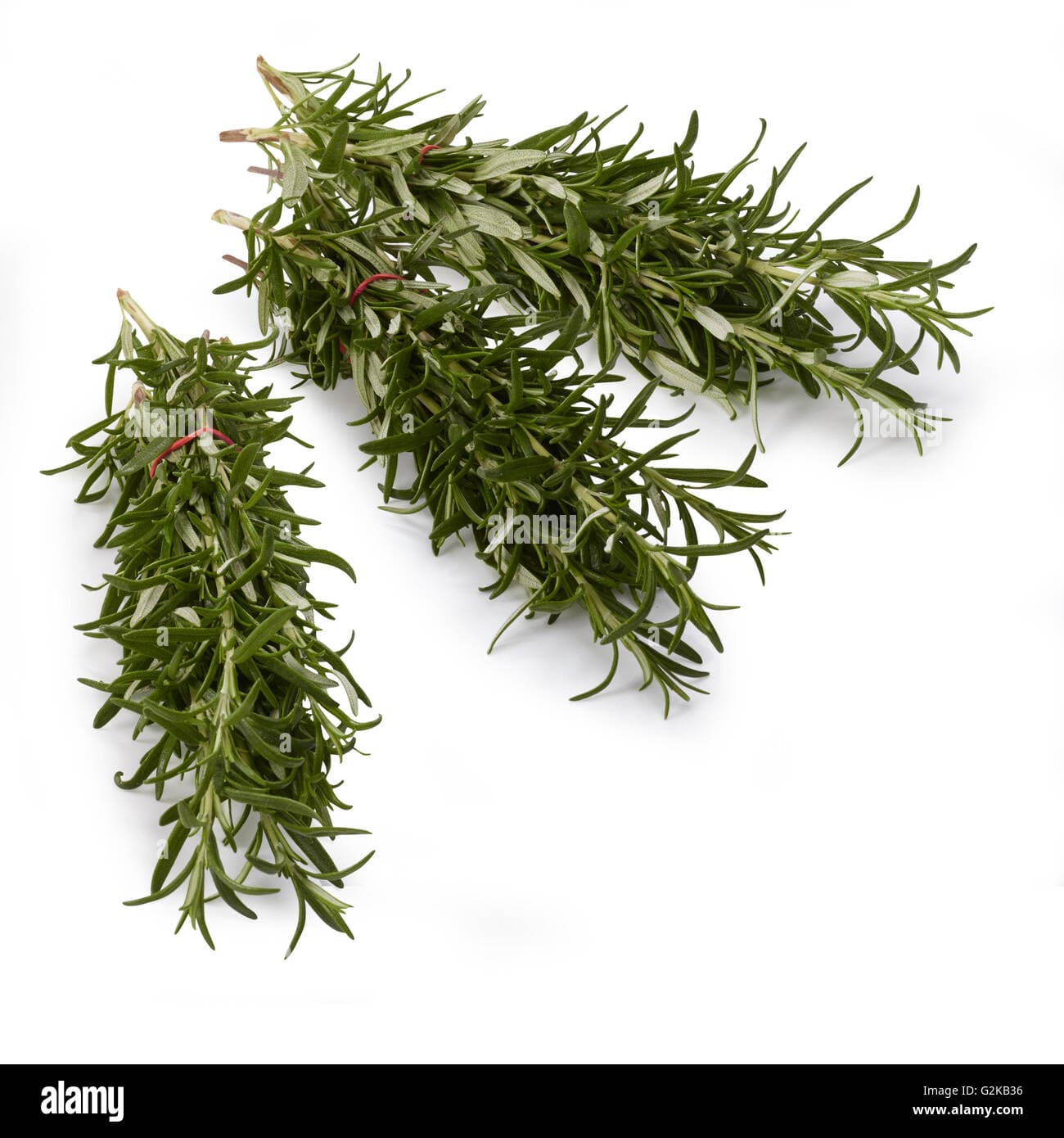 Rosemary (bunch)