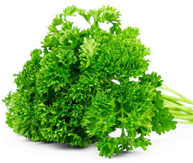 Parsley Curly (each)